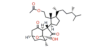 Pinnigorgiol E